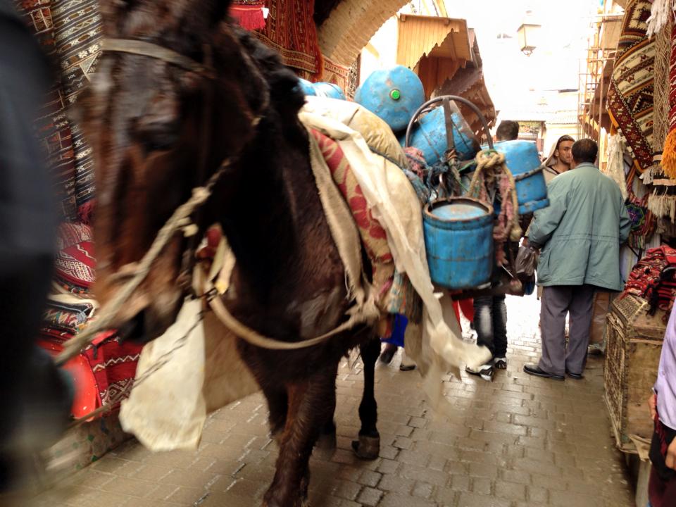 Donkeys in the Fes bazaar in Morocco 